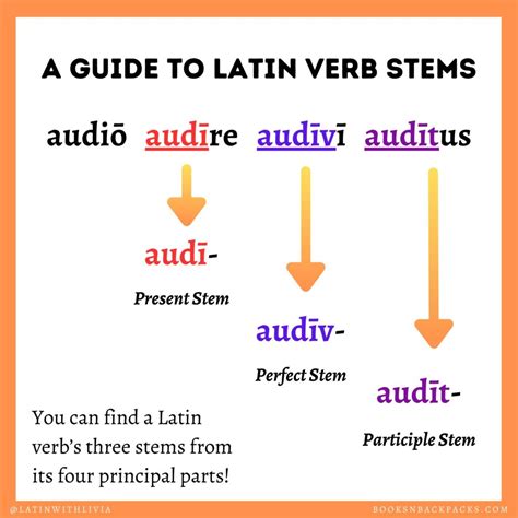 Latin Verb Stems Made Easy: Ultimate Guide for Students