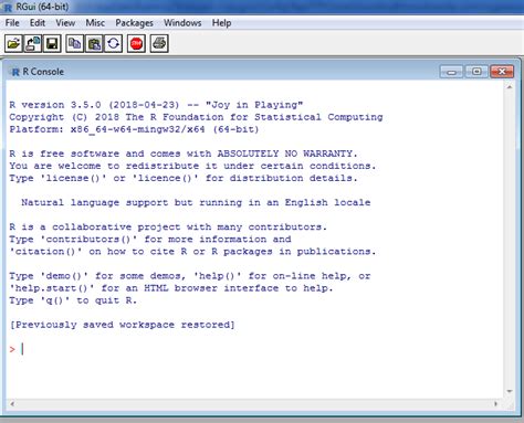 Image result for Typing R Code in SPSS