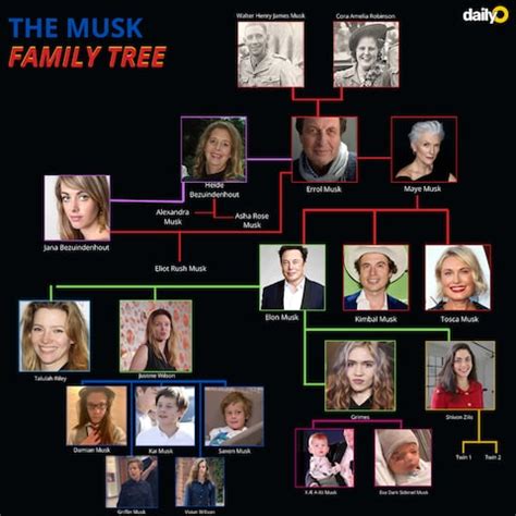 The Elon Musk Family Tree