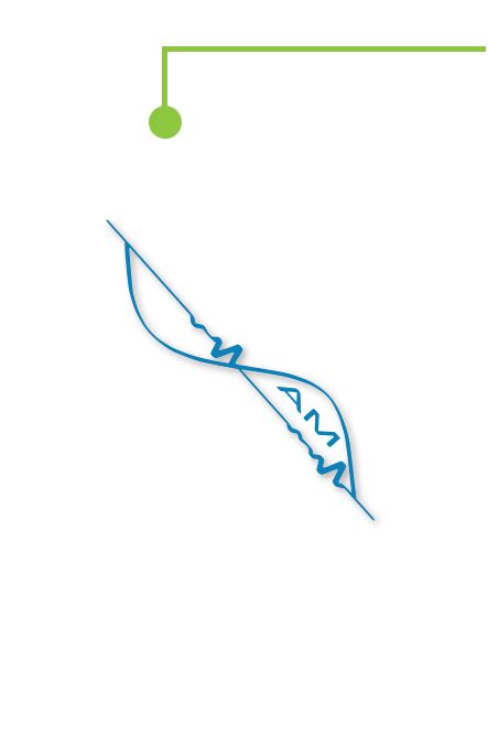 Sensormatic SPX Sustainable Label