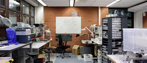 Image result for D Lab Electronics Location