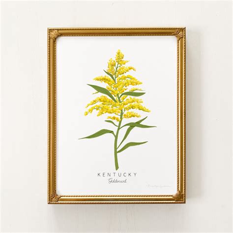 Kentucky State Flower Print | CUSTOMIZABLE | Goldenrod Print, Kentucky ...