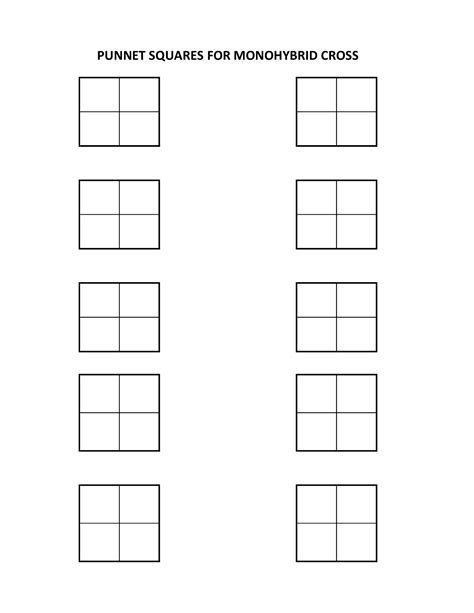 Blank Punnett Square