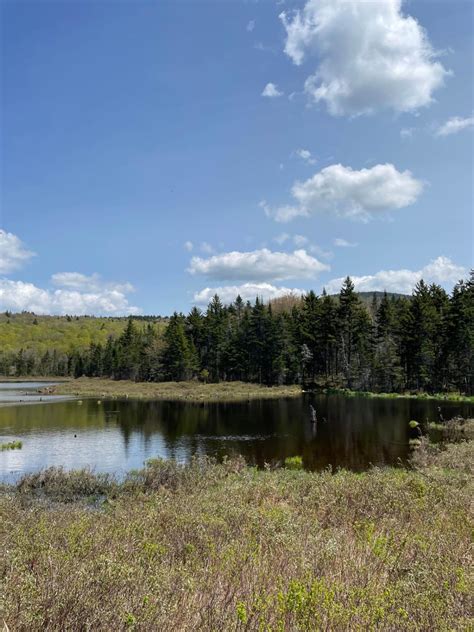 New Colony - Orange Road , New Hampshire - GPS Trail Map, Conditions ...