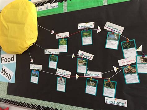 Science Fun 的图像结果