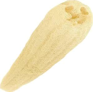 Buy Aorna Natural Organic Body Scrubber Loufah Sponges for Bathing ...