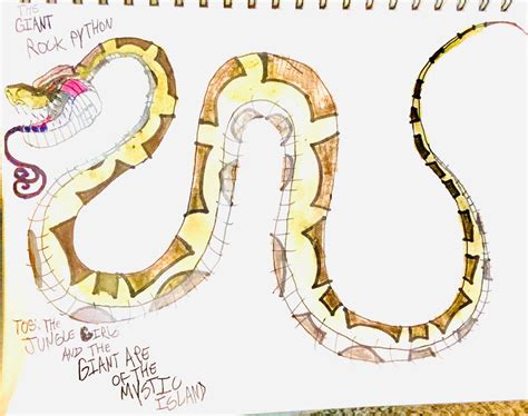 Largest Rock Python 的图像结果