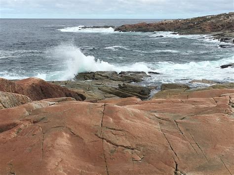 Joe Batt's Arm Tourism (2023): Best of Joe Batt's Arm, Canada - Tripadvisor