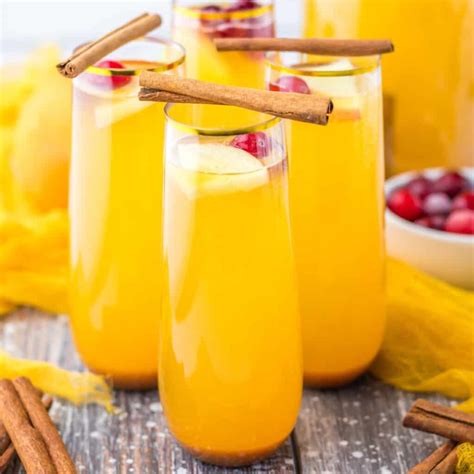 15+ Non-Alcoholic Fall Drinks & Mocktails for Cozy Autumn Vibes