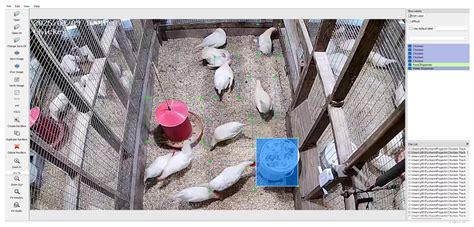 Image result for Hen Using a Computer