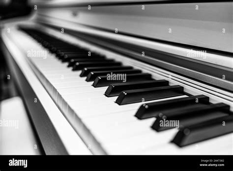 Image result for Music Instruments Black and White