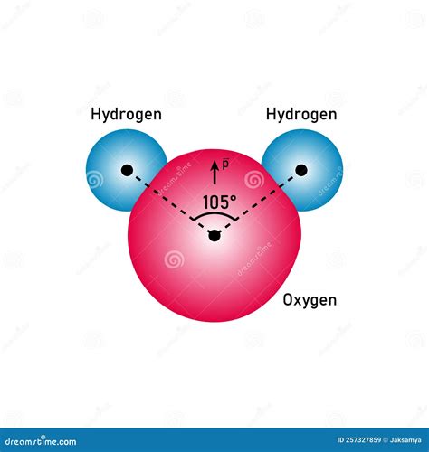 The Polar Covalent Bonds of Water Molecules (H2O) Stock Vector ...