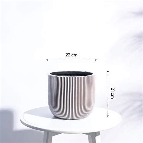 Ugaoo Planter Ball Groove (Ivory)| Buy Now – BharatAgri Krushi Dukan