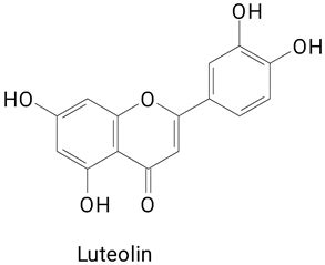 The Profile of Phenolic Compounds Identified in Pitaya Fruits, Health ...