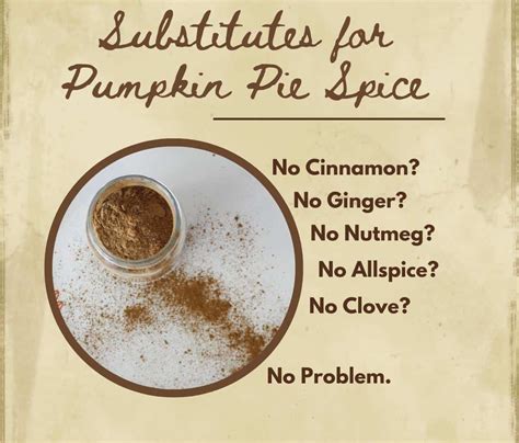 Pumpkin Pie Spice Substitute for any of the ingredients! - The Lobo Life