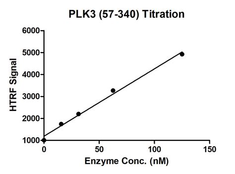 Recombinant PLK3 (57-340) protein | Proteintech