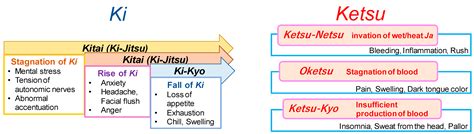 Kampo Therapies and the Use of Herbal Medicines in the Dentistry in Japan