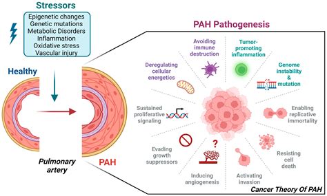 Switch-Independent 3A: An Epigenetic Regulator in Cancer with New ...