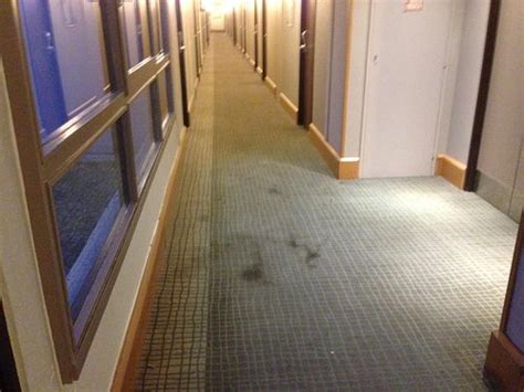 NOVOTEL MARSEILLE EST PORTE D'AUBAGNE - Hotel Reviews, Photos, Rate ...