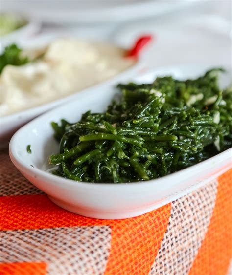 Can Dogs Have Seaweed?