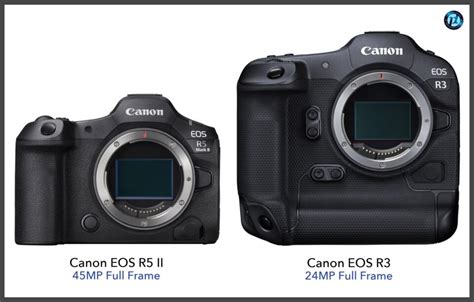 Canon EOS R3 vs EOS R5 的图像结果