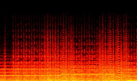 Audio Web Form Animation 的图像结果