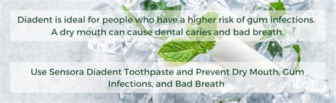 Buy Sensora Buy 6 Get 10, Gum Care Toothpaste - Pack Of 6 And 6 Super ...