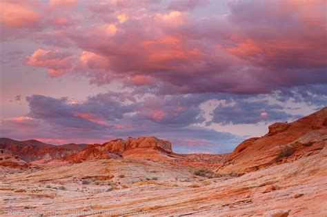 Sunset | Valley of Fire State Park, Nevada. | Photos by Ron Niebrugge - wildlife in valley of fire state park