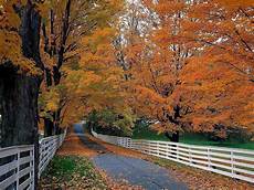 Fall Computer Wallpaper Backgrounds by Free Fall Backgrounds Desktop Wallpaper Cave Fall Computer Wallpaper Backgrounds
