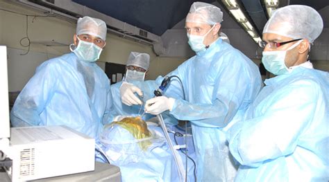 Neurosurgery Education And Training School