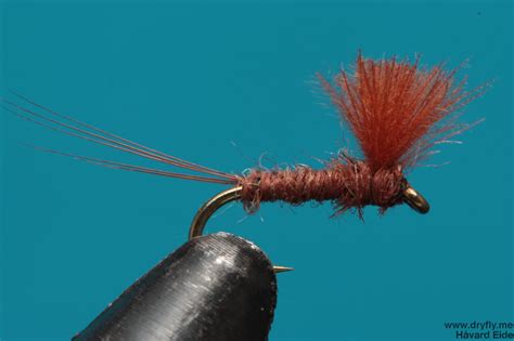 Image result for Rusty Fly Rod Guide