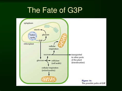 Image result for G3P Image Converter