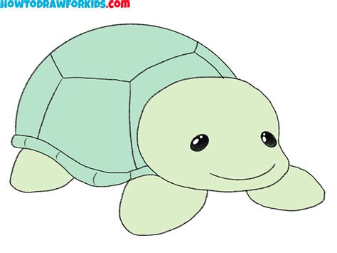 Image result for Simple Turtle Drawing