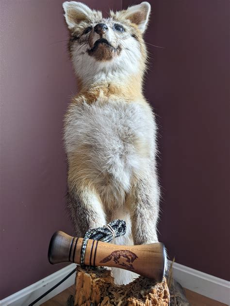 Rabbit Distress Call — FeatherMoonOutdoors