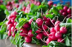 lista indice glicemico alimenti alimenti a basso indice glicemico ideali per la dieta lista indice glicemico alimenti alimenti a basso indice glicemico ideali per la dieta