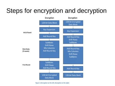 Advanced Encryption Standard Tutorial 的图像结果