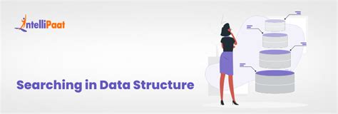Searching Data Structure in Python 的图像结果