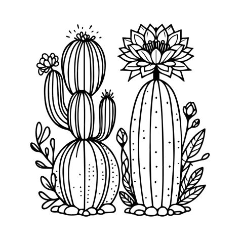 Premium Vector | Pencil sketch cactus drawing cactus drawing black and ...