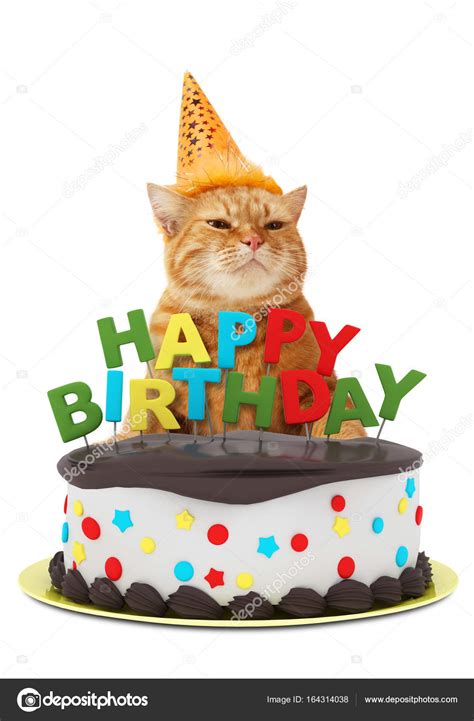 Funny Cat Happy Birthday Images