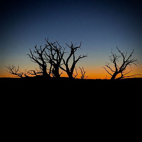 IMG_5622 | Maxine Mayer | Flickr