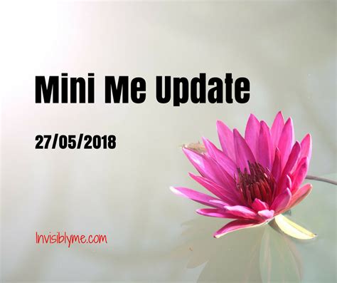 Image result for A Mini Update