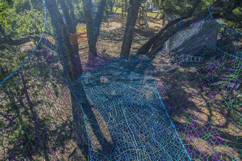 Image result for How to Bilde a Tree Nete