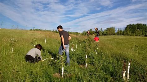 Planting Tree Guide NParks 的图像结果
