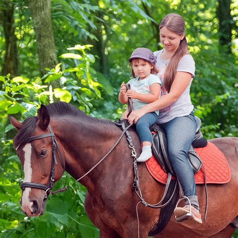 Horseback Riding Tours in Sevierville, TN - Five Oaks Riding Stables