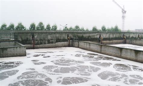 回头看|无锡一造纸厂废水超标排放 被处罚90万元_新浪江苏_新浪网