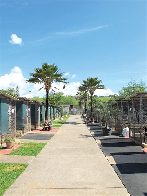 MWR Kennels is a second home for military pets | Article | The United ...