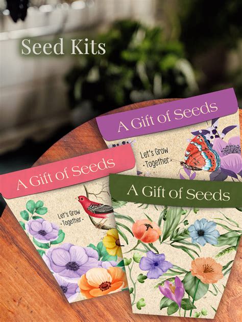 Seed Kit - Buy Plant Seeds Online at Best Price | Bombay Greens