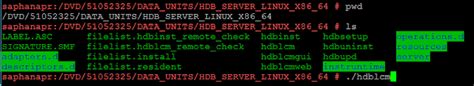 HANA 2.0 System Replication - HA/DR - SAP BTP Administrator and ...