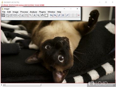 Image result for ImageJ Software Java Version 8