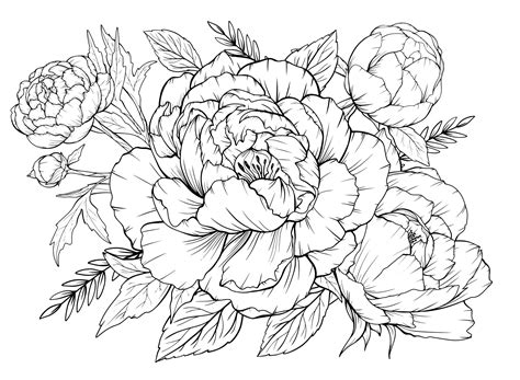 Realistic Flower Coloring Pages